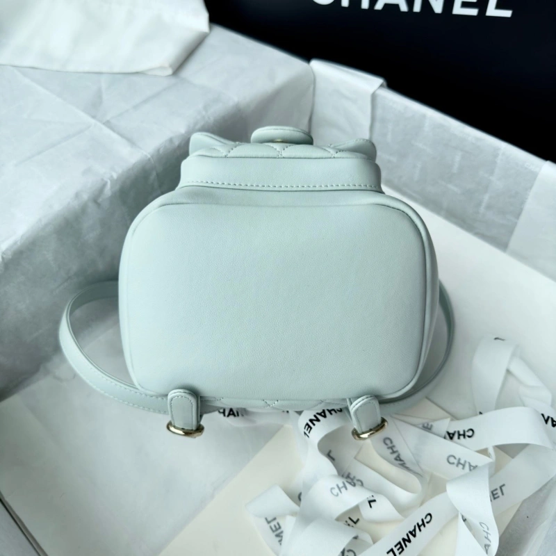 Ch**el backpacks 4017-1617