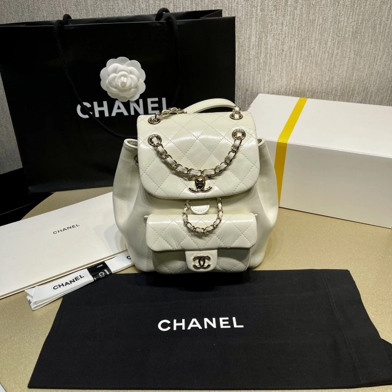 Ch**el backpacks 4017-1619