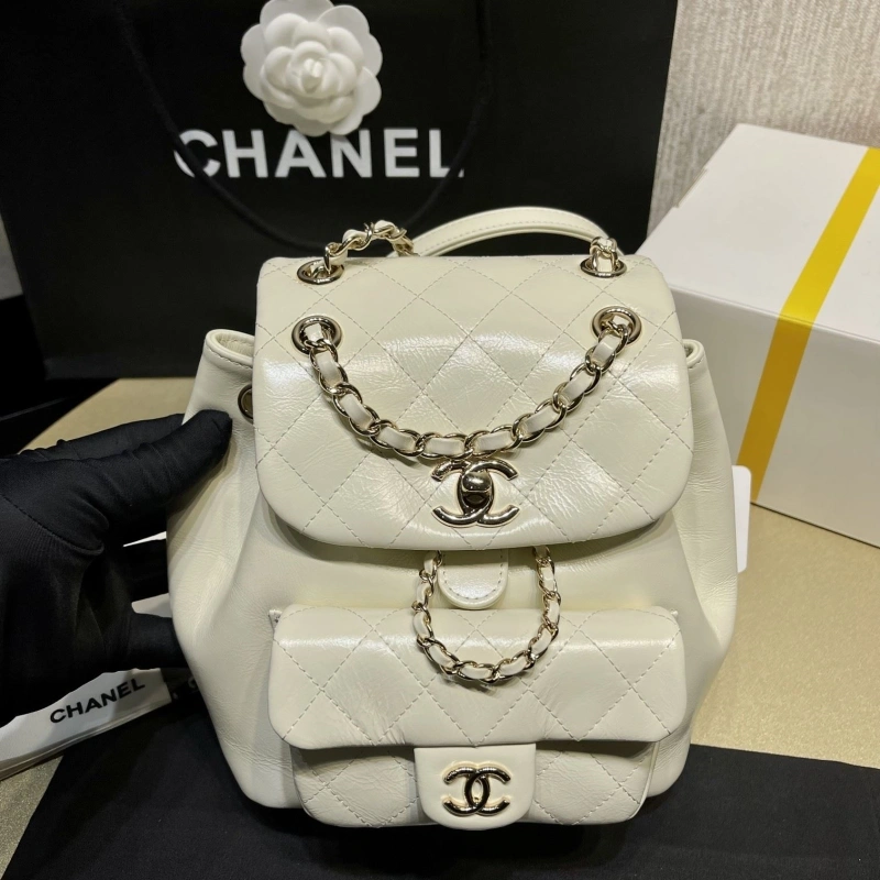 Ch**el backpacks 4017-1619