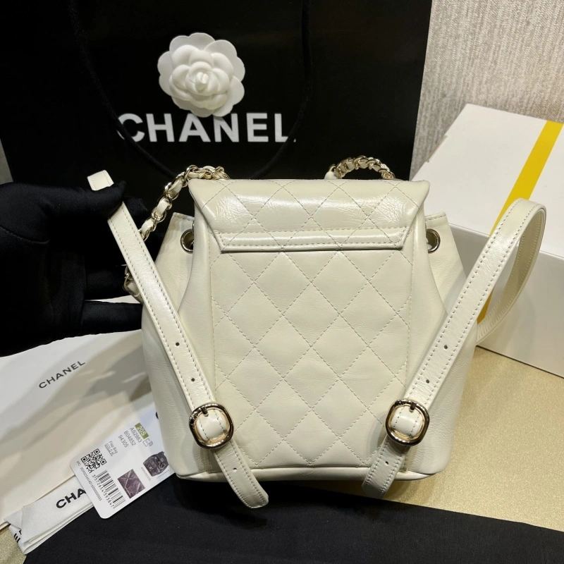 Ch**el backpacks 4017-1619