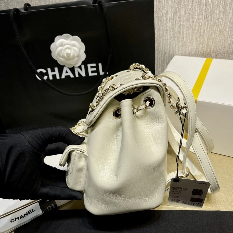 Ch**el backpacks 4017-1619