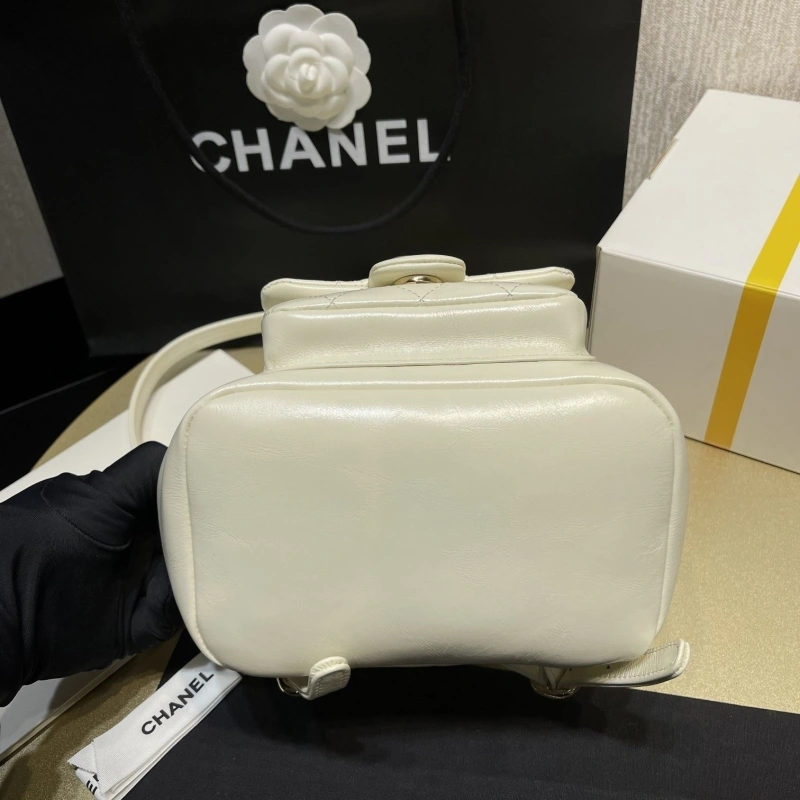 Ch**el backpacks 4017-1619