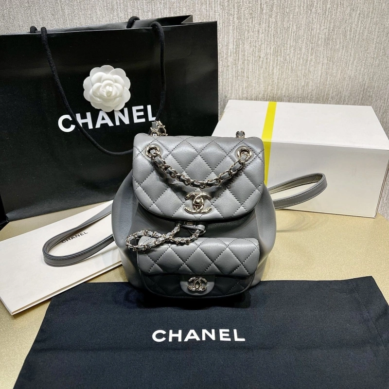 Ch**el backpacks 4017-1620