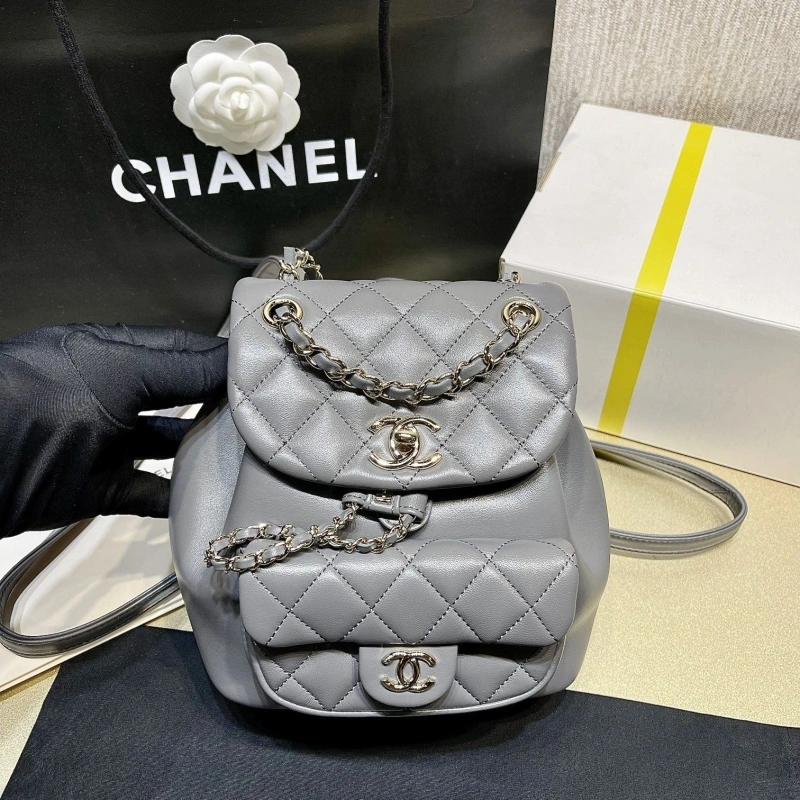 Ch**el backpacks 4017-1620