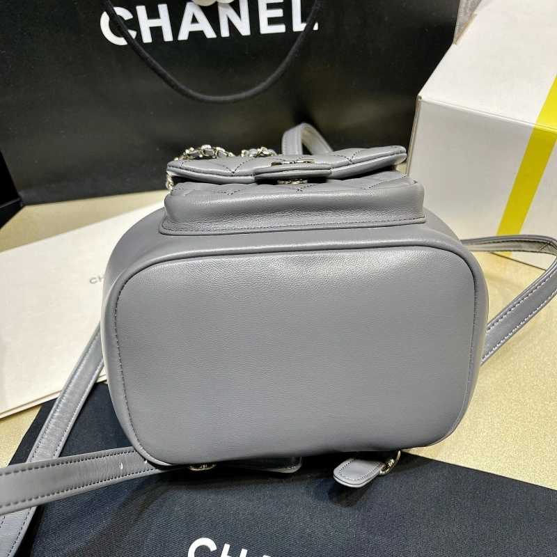 Ch**el backpacks 4017-1620