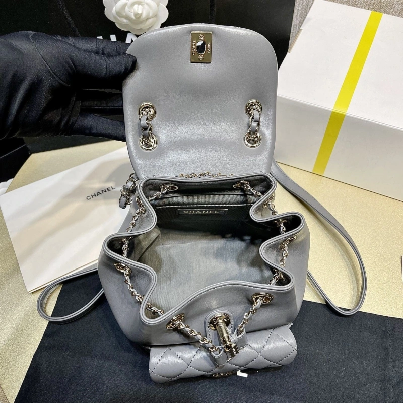 Ch**el backpacks 4017-1620