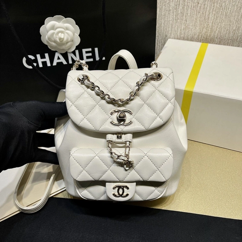 Ch**el backpacks 4017-1621