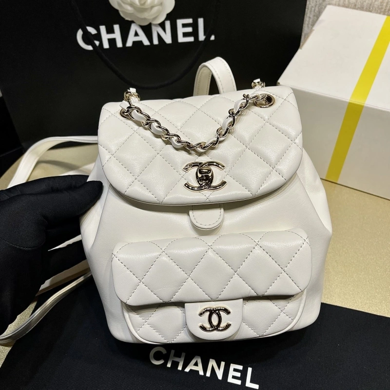 Ch**el backpacks 4017-1621