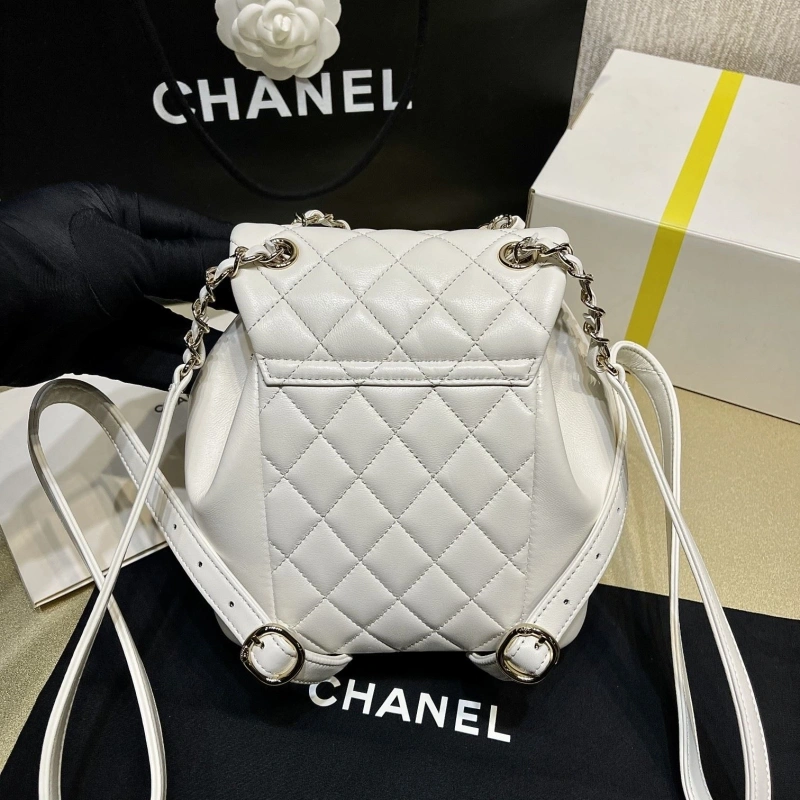 Ch**el backpacks 4017-1621