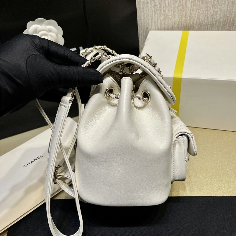 Ch**el backpacks 4017-1621