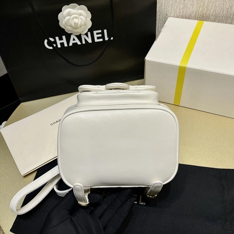 Ch**el backpacks 4017-1621