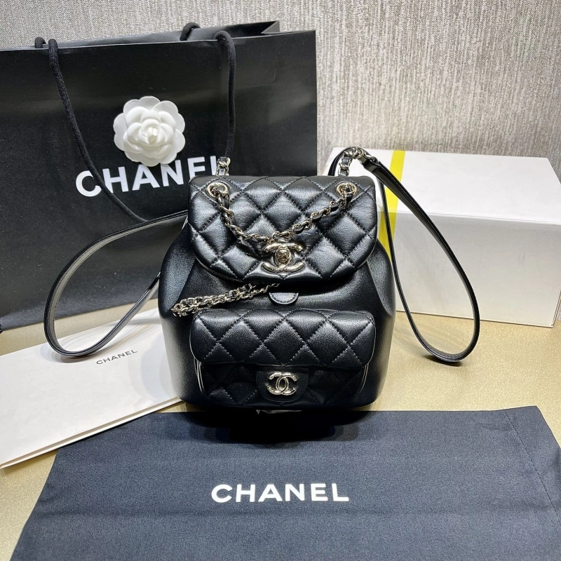 Ch**el backpacks 4017-1622