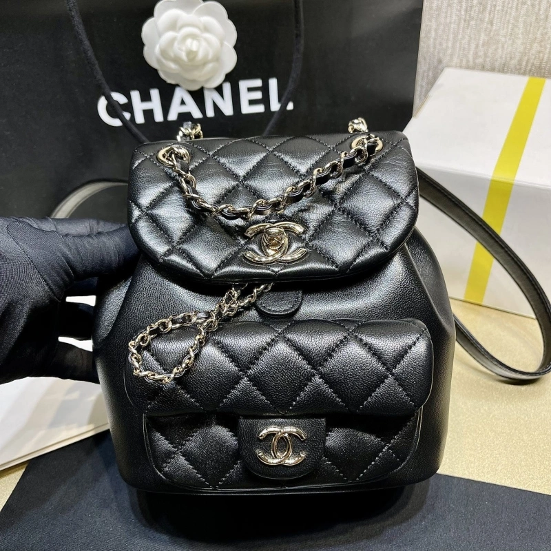 Ch**el backpacks 4017-1622