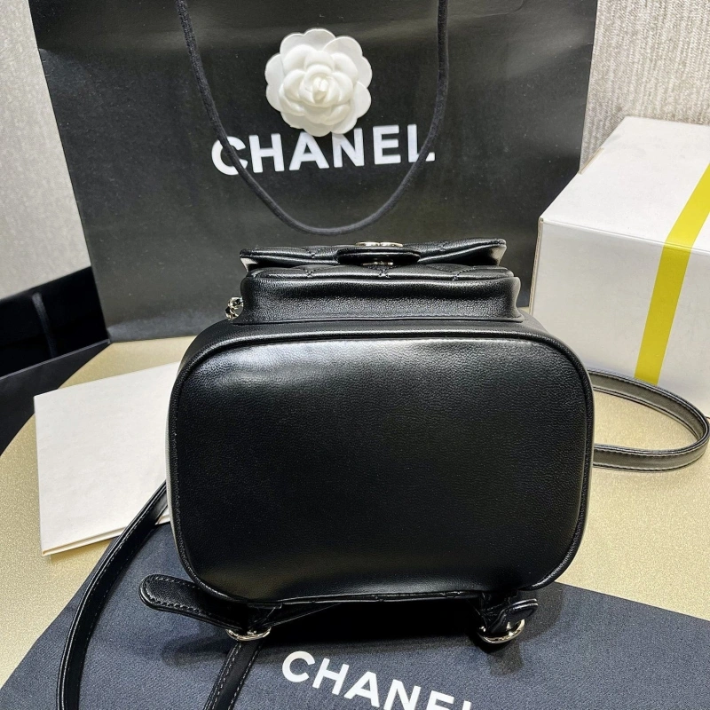 Ch**el backpacks 4017-1622