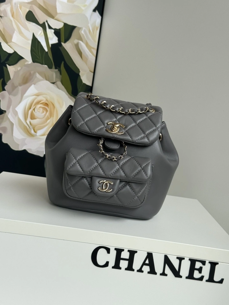 Ch**el backpacks 4017-1760