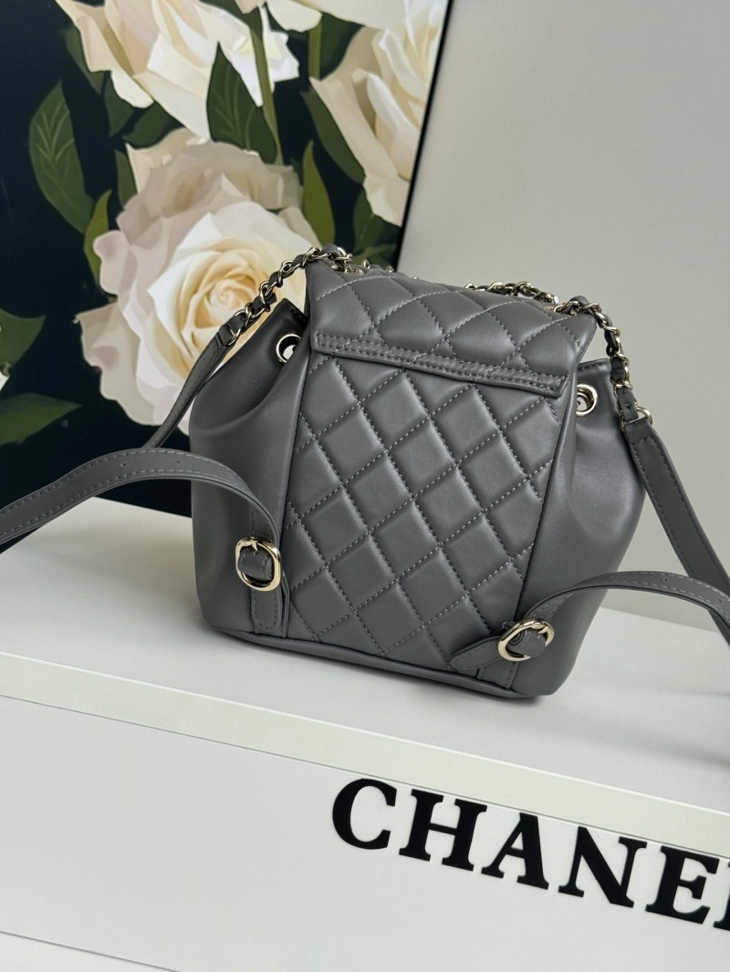 Ch**el backpacks 4017-1760