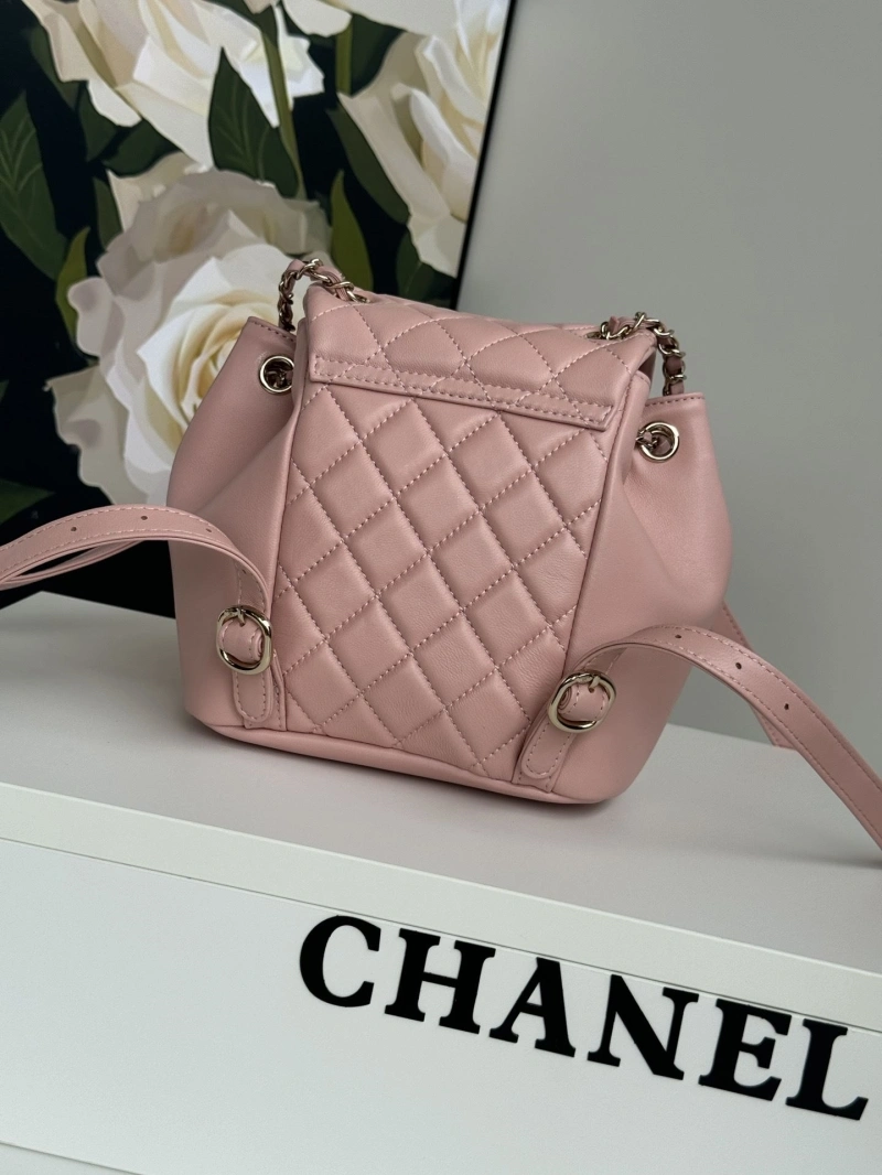 Ch**el backpacks 4017-1761