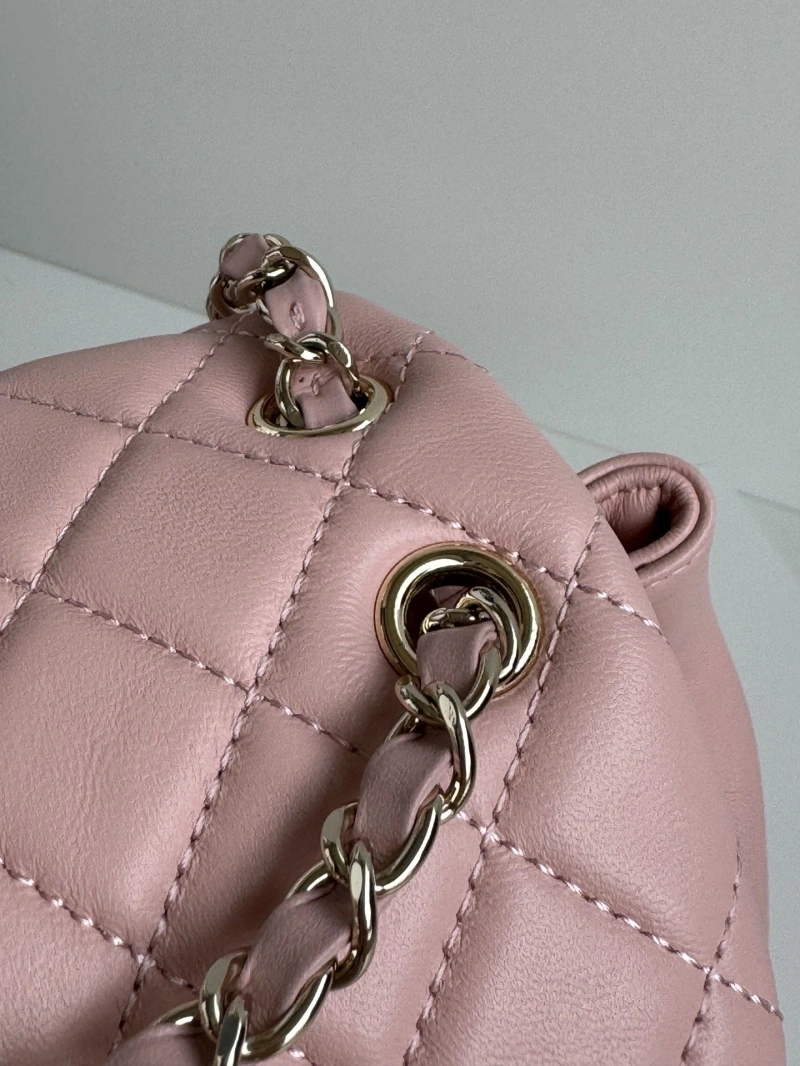 Ch**el backpacks 4017-1761