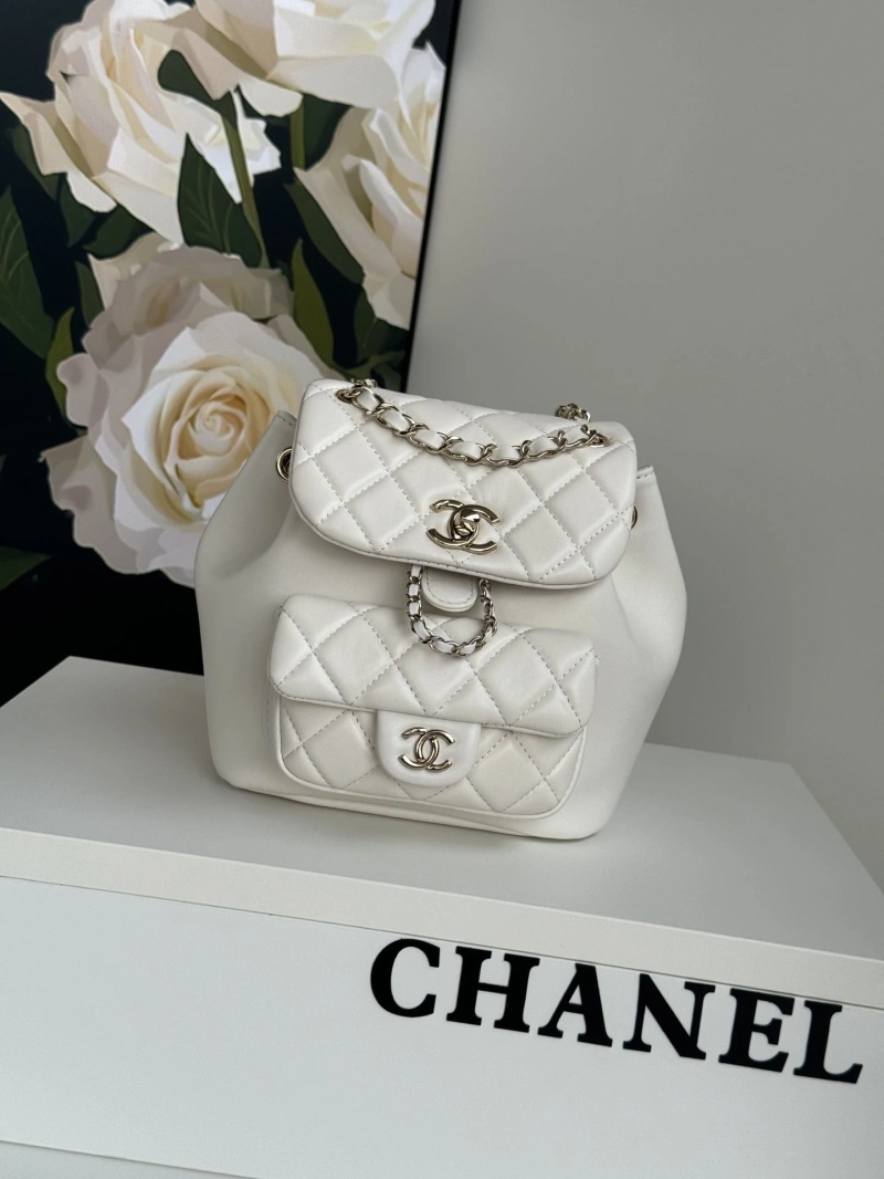 Ch**el backpacks 4017-1762