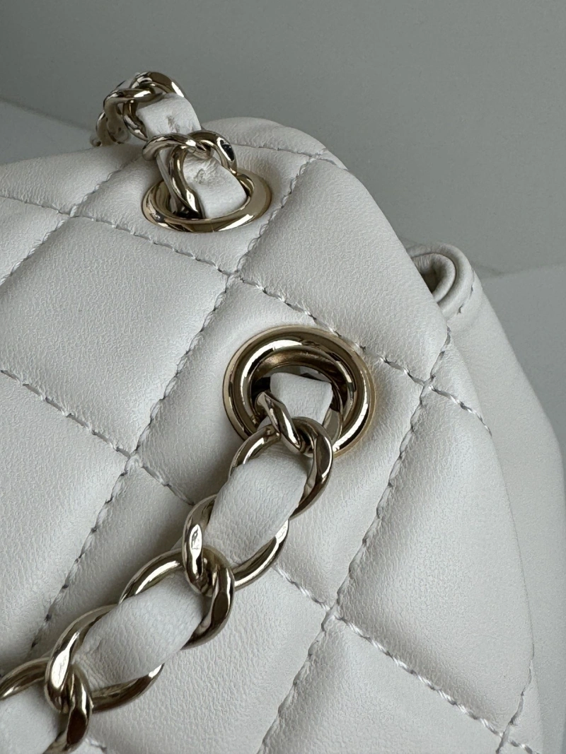 Ch**el backpacks 4017-1762