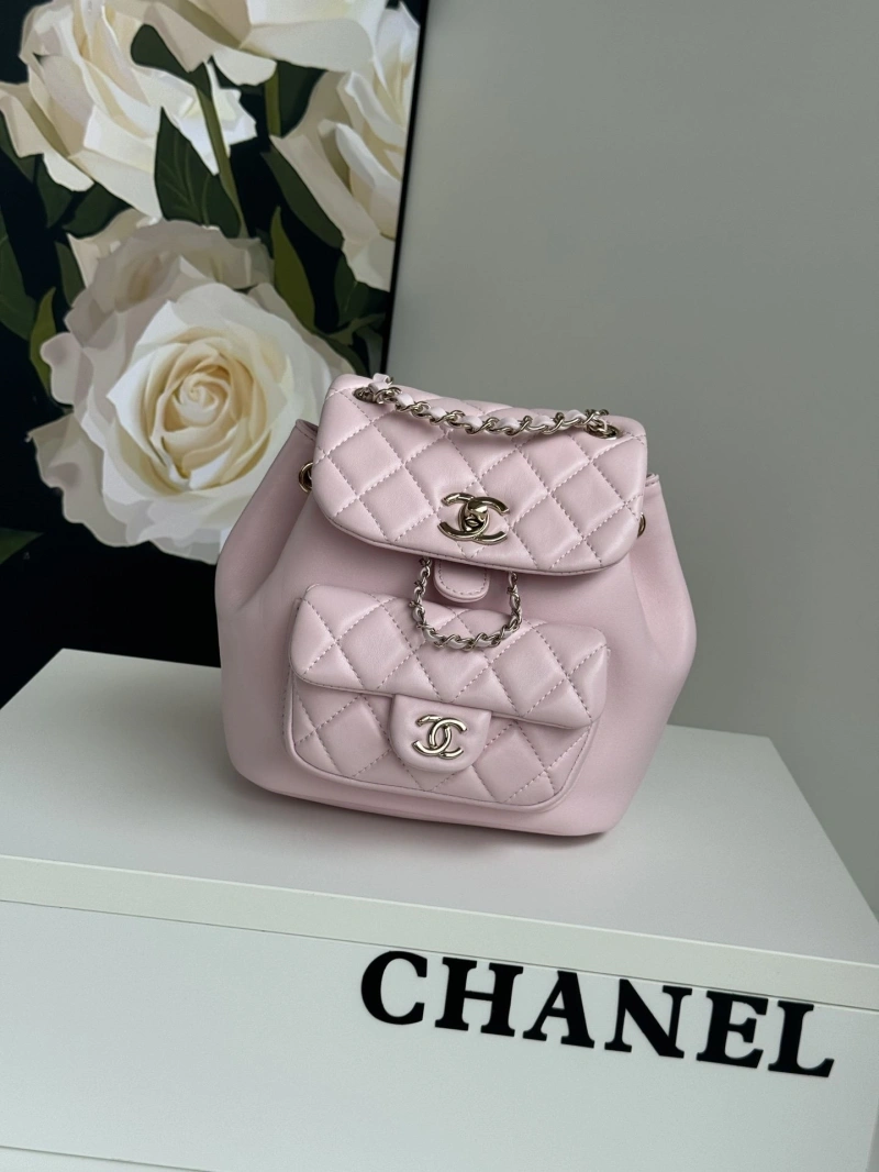 Ch**el backpacks 4017-1763