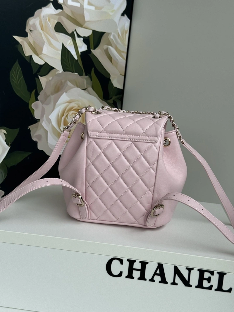 Ch**el backpacks 4017-1763