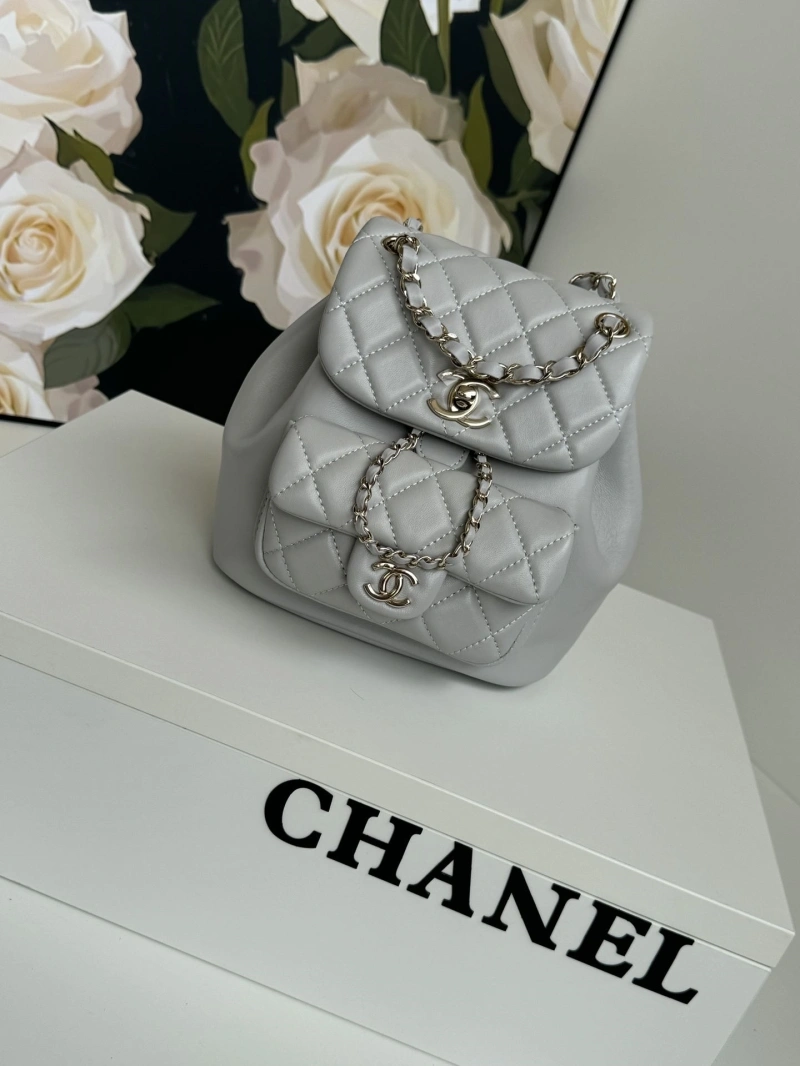 Ch**el backpacks 4017-1764