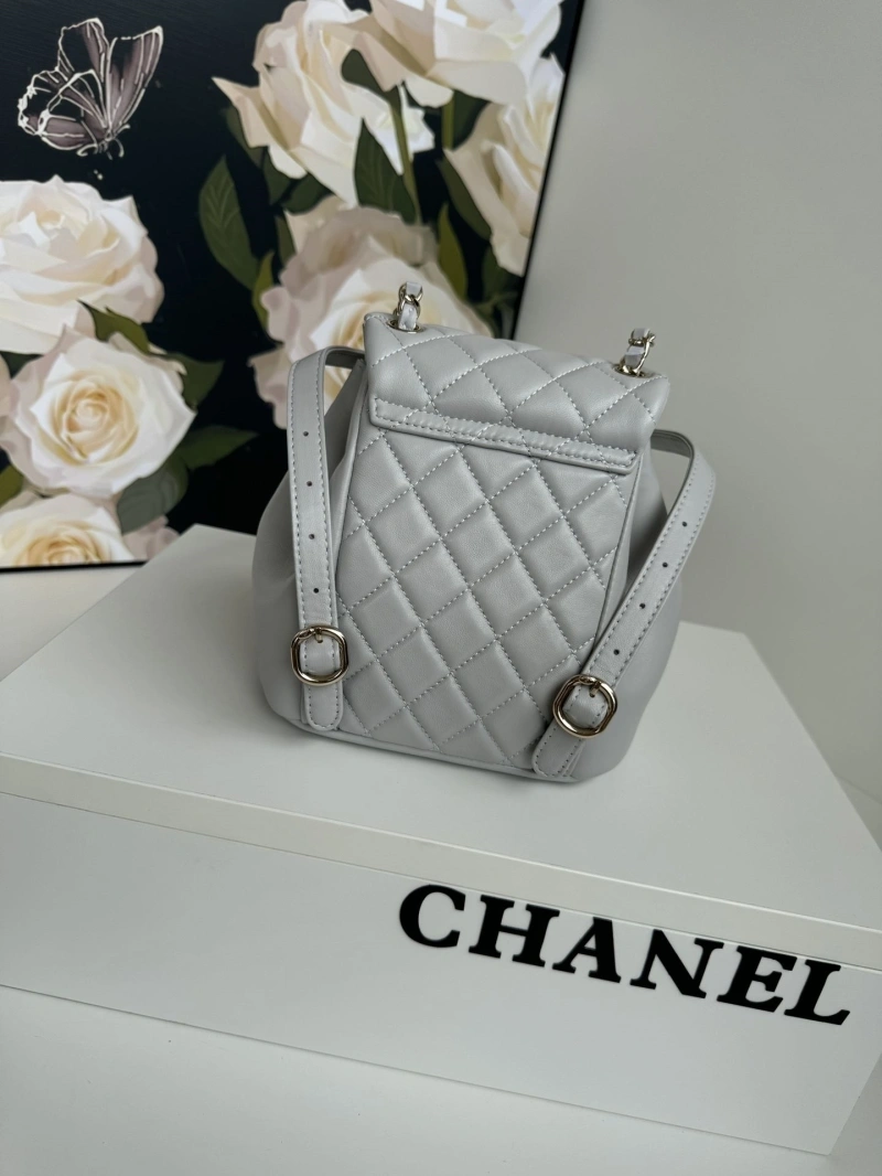Ch**el backpacks 4017-1764