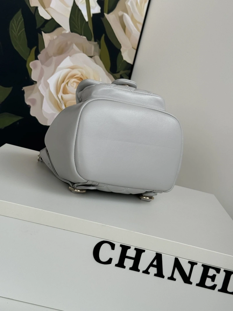 Ch**el backpacks 4017-1764