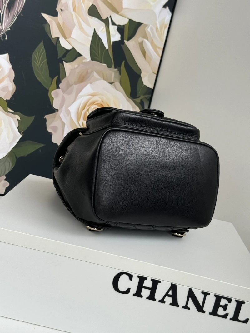 Ch**el backpacks 4017-1765