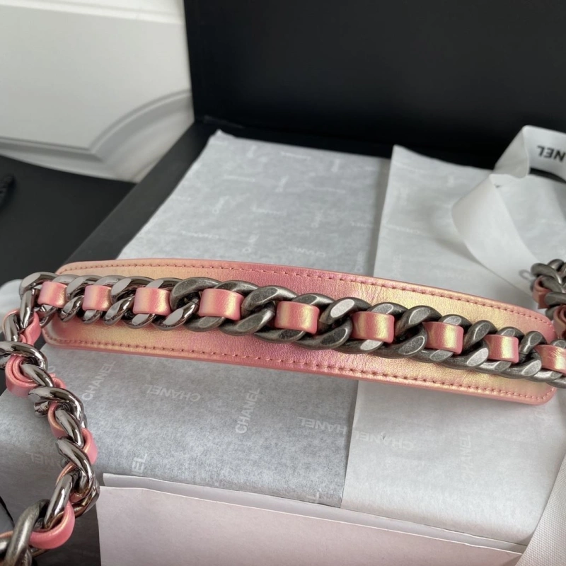 Ch**el 19 bags 4017-1890
