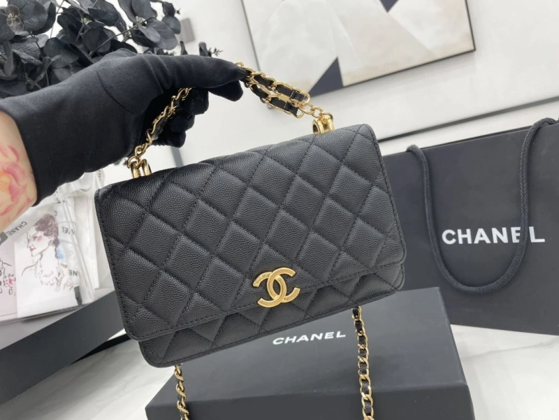 Ch**el 19 bags 4017-1963