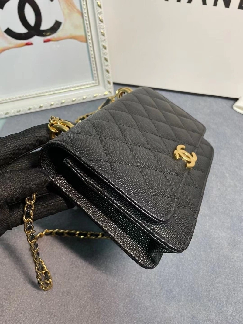 Ch**el 19 bags 4017-1970