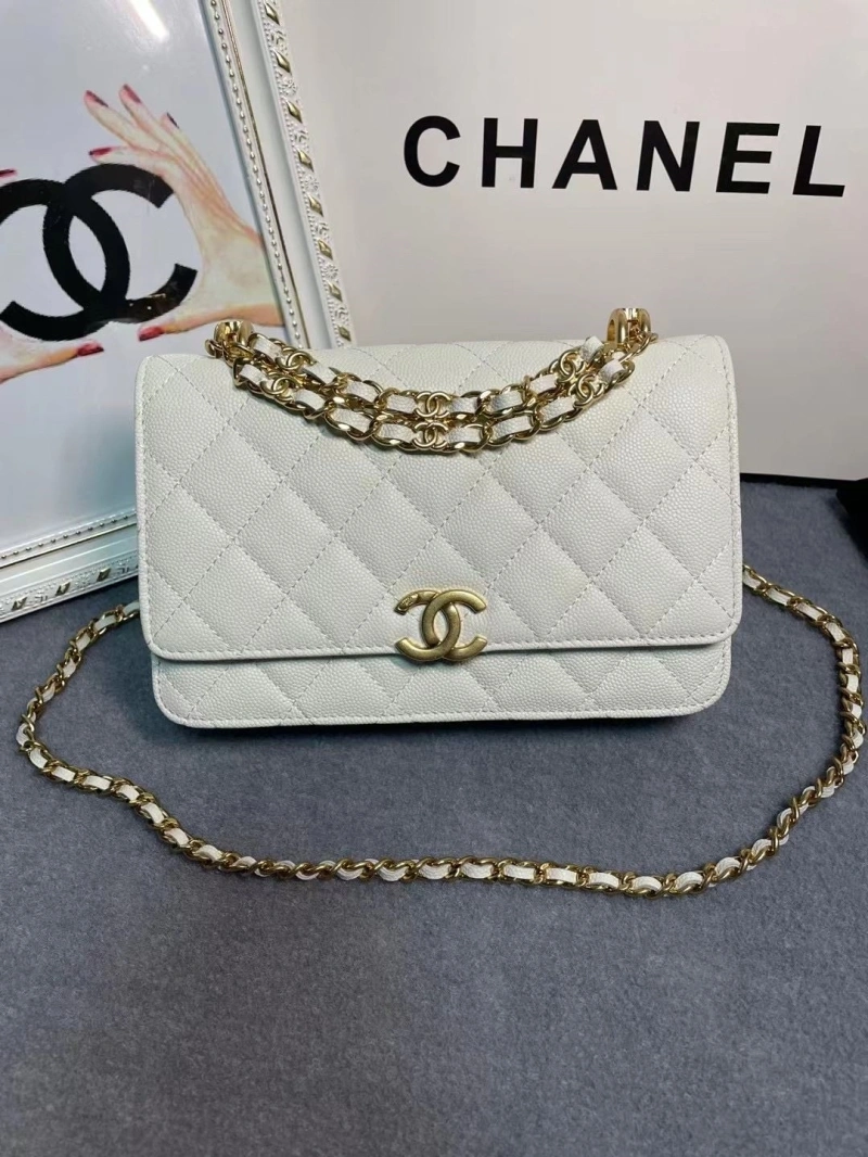 Ch**el 19 bags 4017-1971