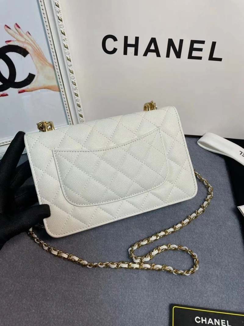 Ch**el 19 bags 4017-1971