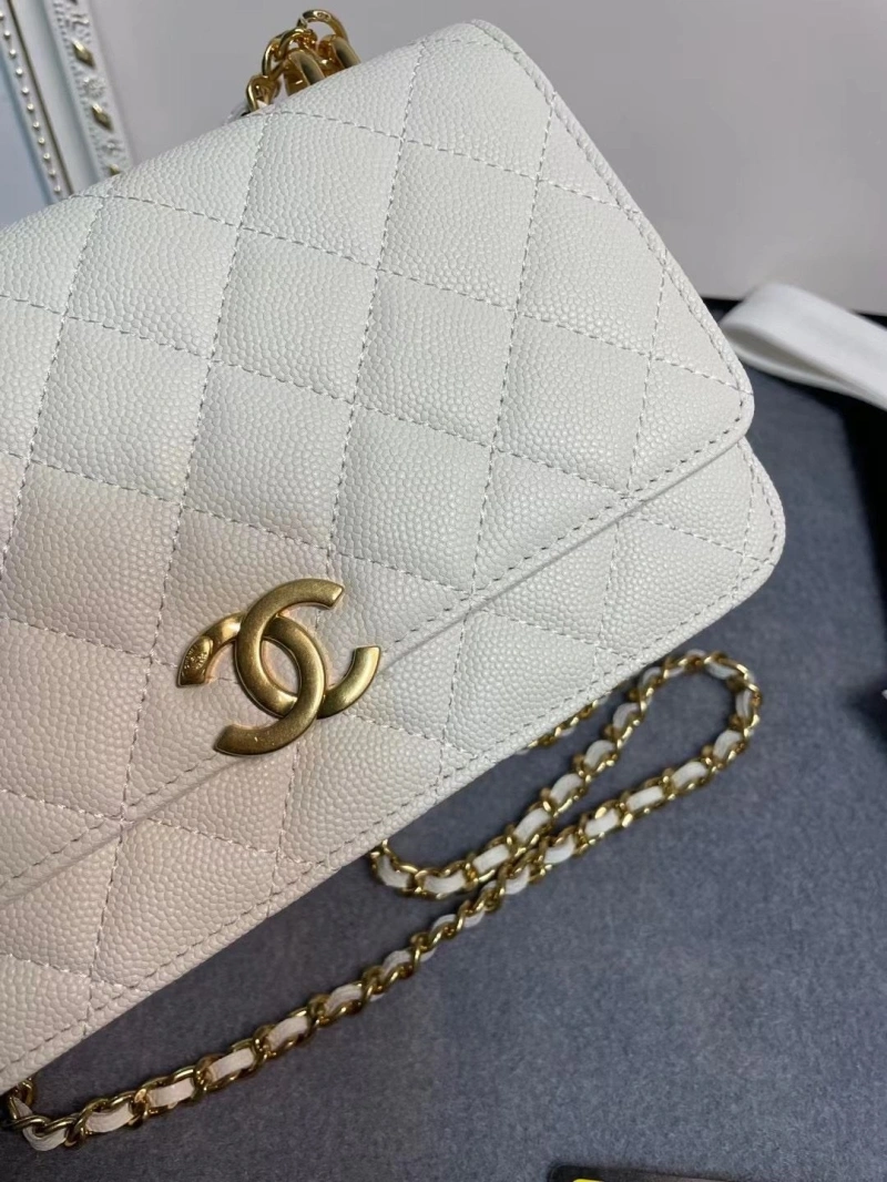 Ch**el 19 bags 4017-1971