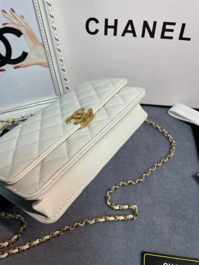 Ch**el 19 bags 4017-1971