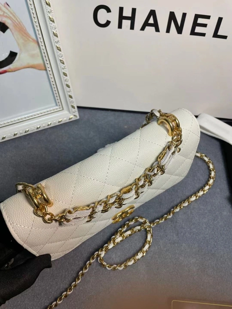 Ch**el 19 bags 4017-1971