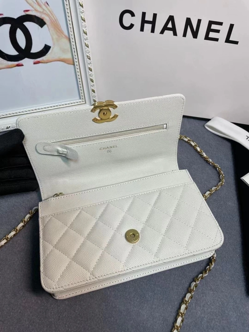 Ch**el 19 bags 4017-1971