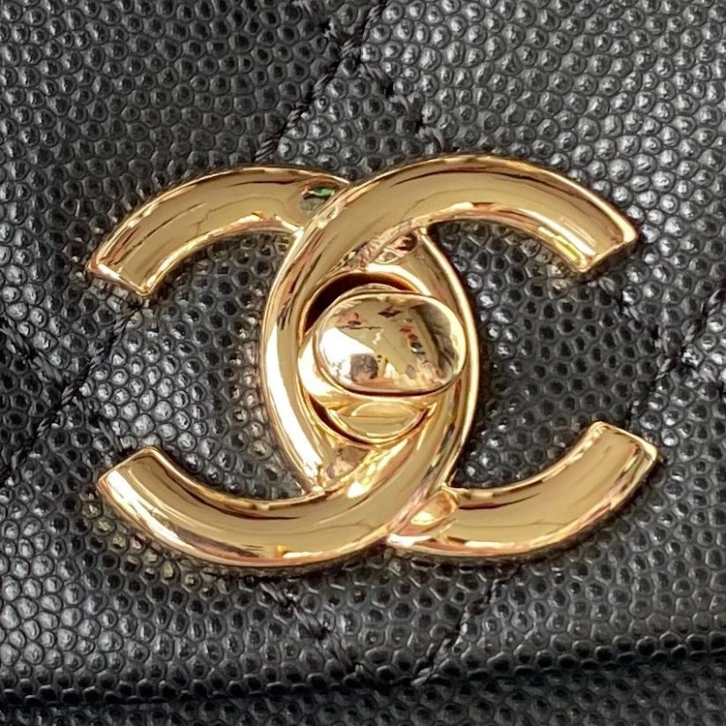 Ch**el backpacks 4017-2018