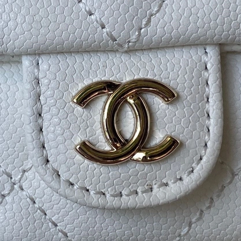 Ch**el backpacks 4017-2019