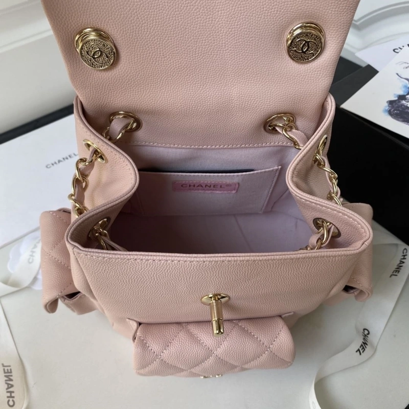 Ch**el backpacks 4017-2020