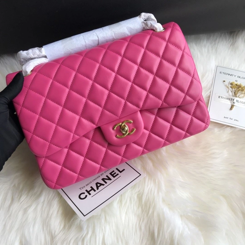 Ch**el cf series bags 4017-2201