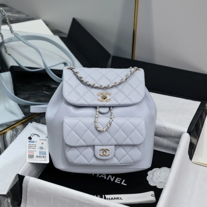 Ch**el backpacks 4017-2242