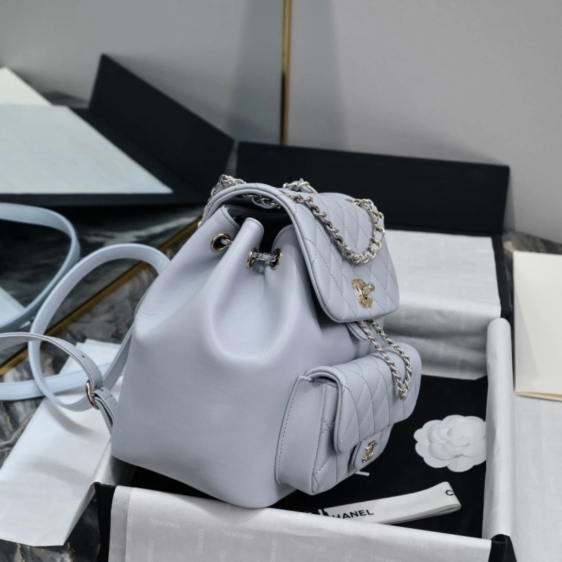 Ch**el backpacks 4017-2242