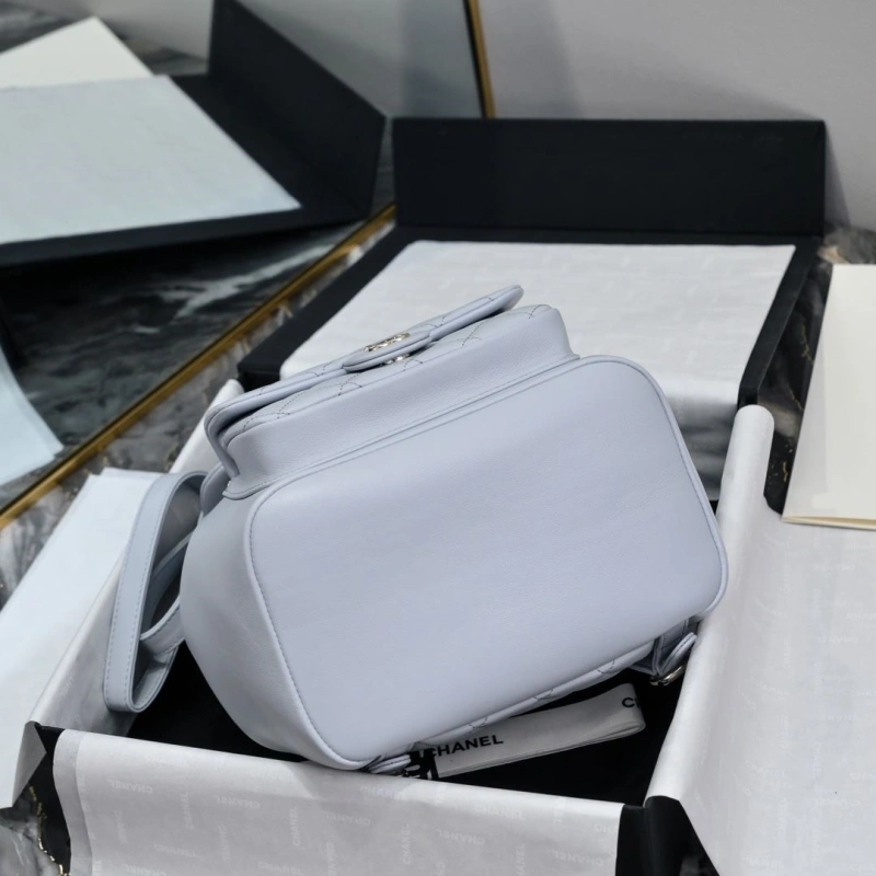 Ch**el backpacks 4017-2242