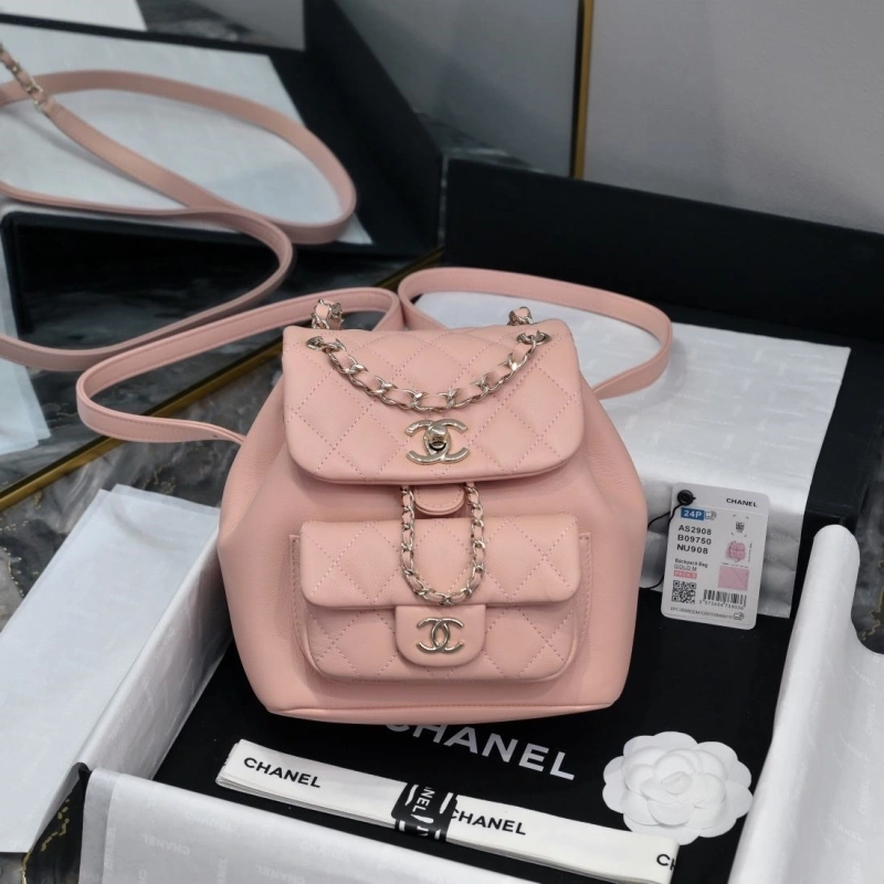 Ch**el backpacks 4017-2245