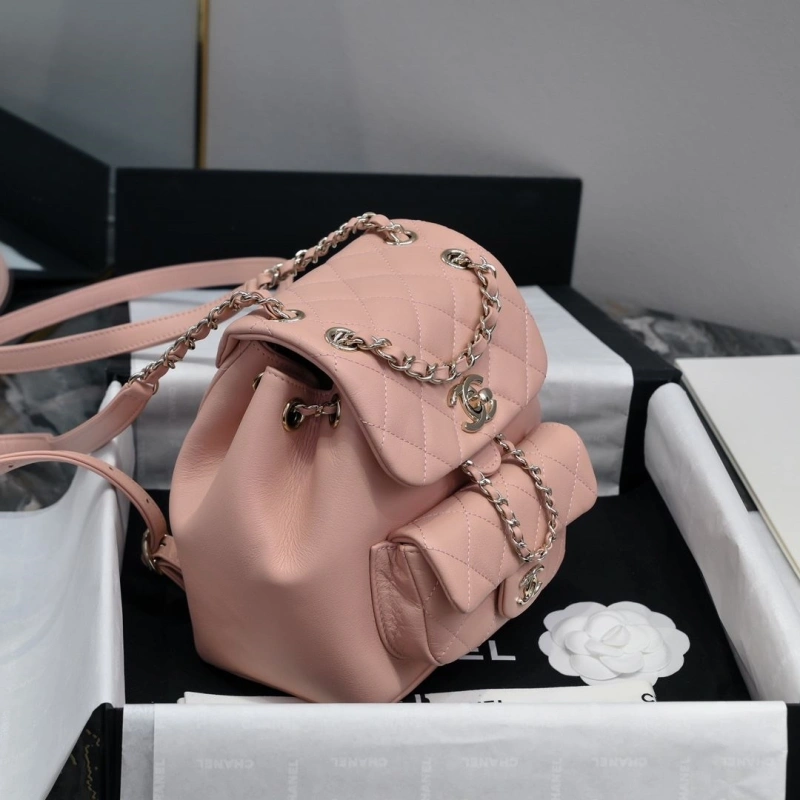 Ch**el backpacks 4017-2245