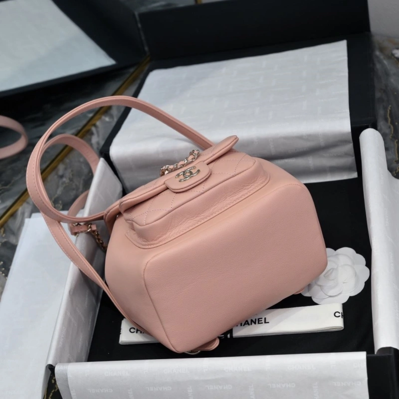 Ch**el backpacks 4017-2245