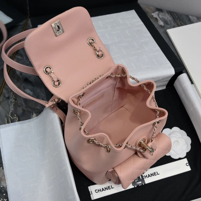 Ch**el backpacks 4017-2245
